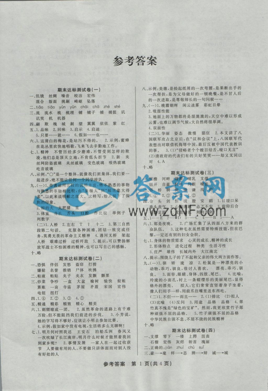 ʦ꼶ϲ
